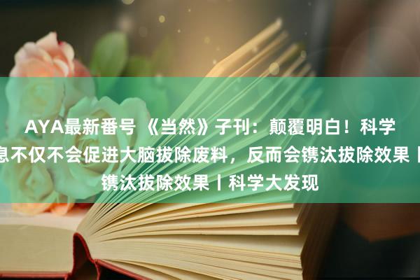 AYA最新番号 《当然》子刊：颠覆明白！科学家发现，寝息不仅不会促进大脑拔除废料，反而会镌汰拔除效果丨科学大发现