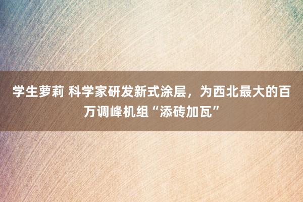 学生萝莉 科学家研发新式涂层，为西北最大的百万调峰机组“添砖加瓦”