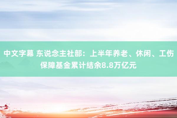 中文字幕 东说念主社部：上半年养老、休闲、工伤保障基金累计结余8.8万亿元