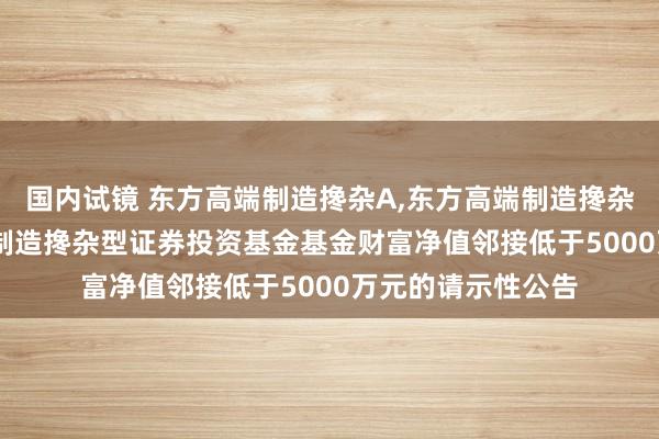 国内试镜 东方高端制造搀杂A，东方高端制造搀杂C: 对于东方高端制造搀杂型证券投资基金基金财富净值邻接低于5000万元的请示性公告