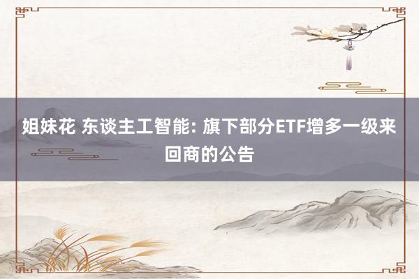 姐妹花 东谈主工智能: 旗下部分ETF增多一级来回商的公告