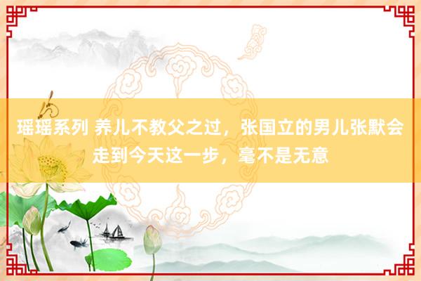 瑶瑶系列 养儿不教父之过，张国立的男儿张默会走到今天这一步，毫不是无意