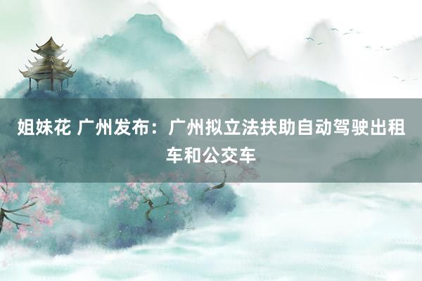 姐妹花 广州发布：广州拟立法扶助自动驾驶出租车和公交车