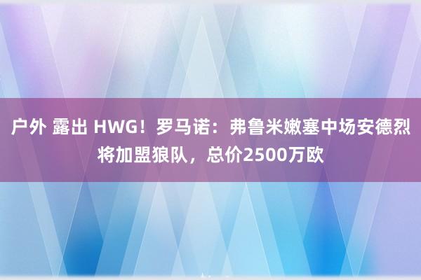 户外 露出 HWG！罗马诺：弗鲁米嫩塞中场安德烈将加盟狼队，总价2500万欧