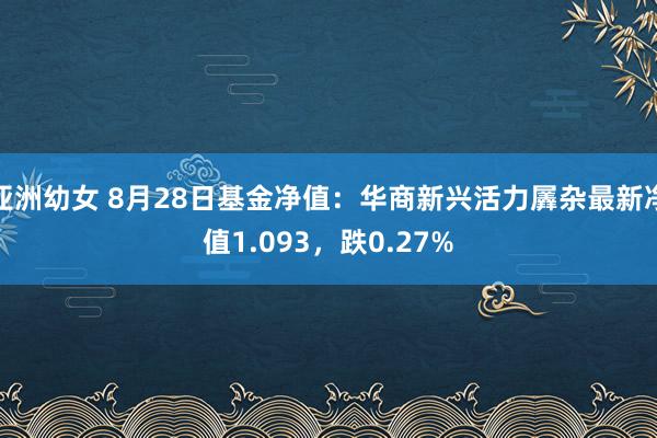 亚洲幼女 8月28日基金净值：华商新兴活力羼杂最新净值1.093，跌0.27%