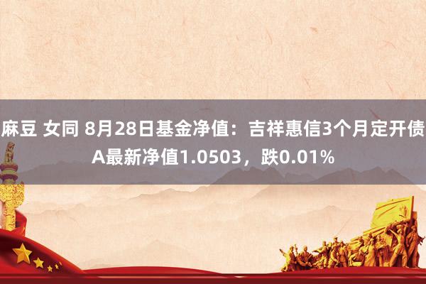 麻豆 女同 8月28日基金净值：吉祥惠信3个月定开债A最新净值1.0503，跌0.01%