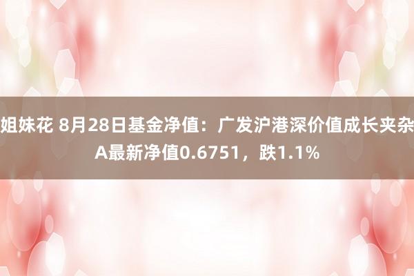 姐妹花 8月28日基金净值：广发沪港深价值成长夹杂A最新净值0.6751，跌1.1%