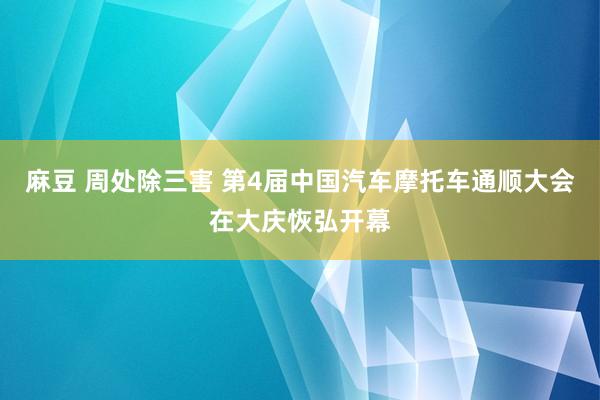 麻豆 周处除三害 第4届中国汽车摩托车通顺大会在大庆恢弘开幕