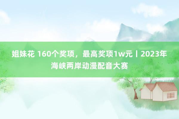 姐妹花 160个奖项，最高奖项1w元丨2023年海峡两岸动漫配音大赛