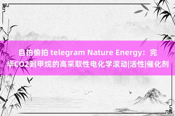 自拍偷拍 telegram Nature Energy：完毕CO2到甲烷的高采取性电化学滚动|活性|催化剂